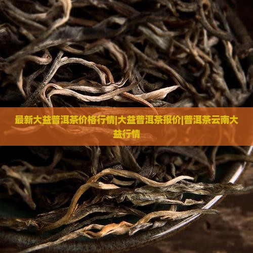 大益普洱茶行情