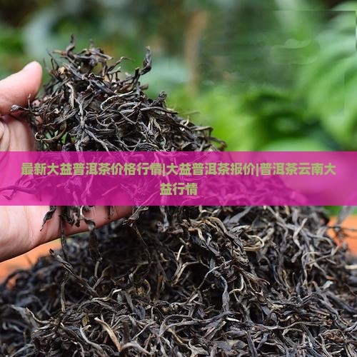 大益普洱茶行情