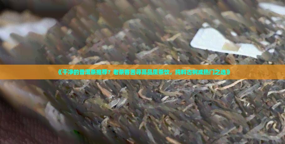 干净的普洱茶推荐