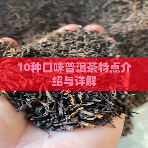 10种口味普洱茶特点