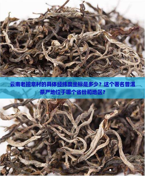 云南老班章村在经纬度多小