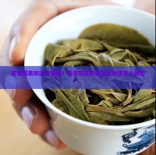 买普洱茶啥样好