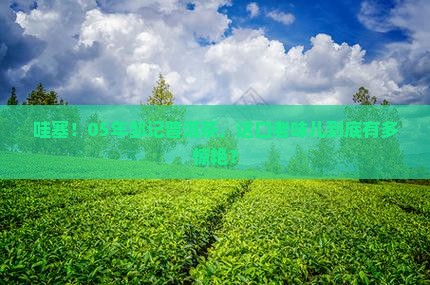05年邹记普洱茶
