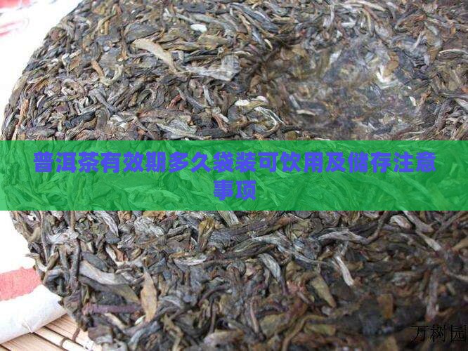 普洱茶有效期多久袋装