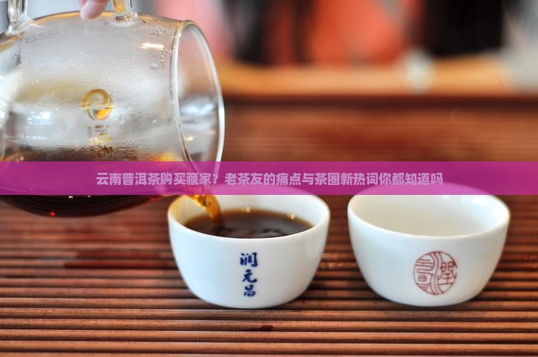 云南普洱茶购买藏家