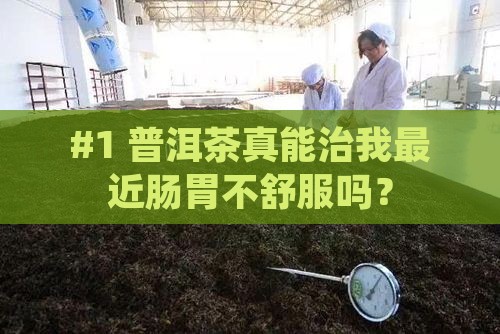 普洱茶能调理肠胃么 普洱茶能调理肠胃么