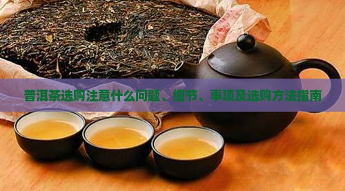 普洱茶选购注意什么 普洱茶选购注意什么