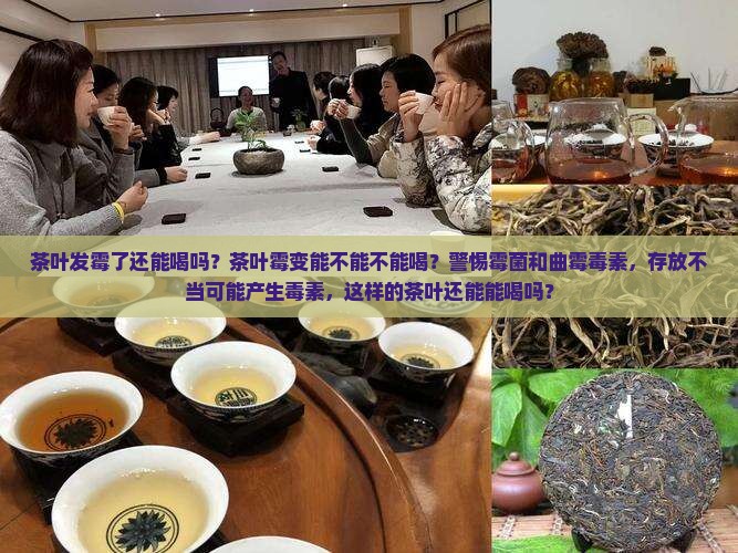 茶叶霉变了还能喝吗