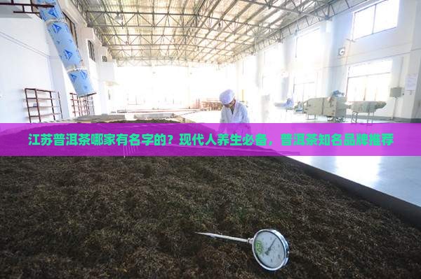 江苏普洱茶哪家有名字的