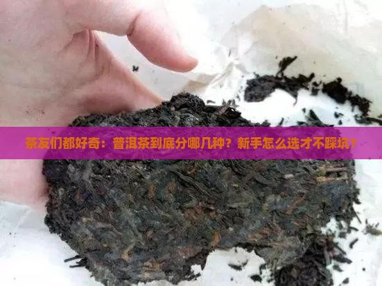 普洱茶的分类品种及特点是什么呢