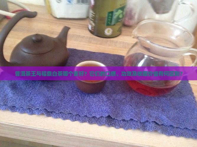 普洱茶王与福鼎白茶哪个好
