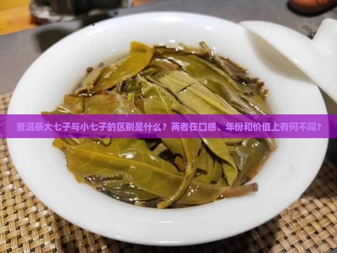 普洱茶大七小七的区别是什么