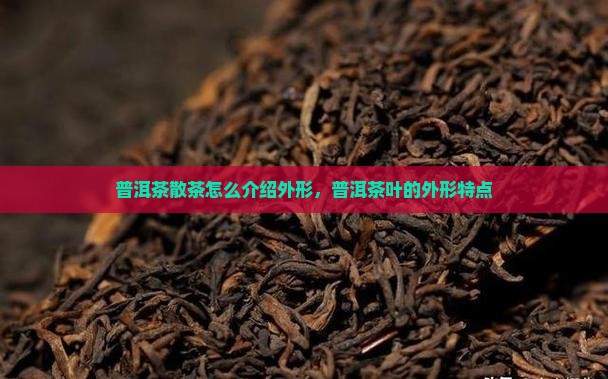 普洱茶散茶怎么介绍外形