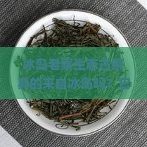 冰岛老寨生态古茶