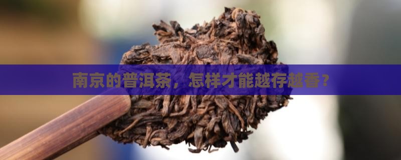 南京的普洱茶怎么保存