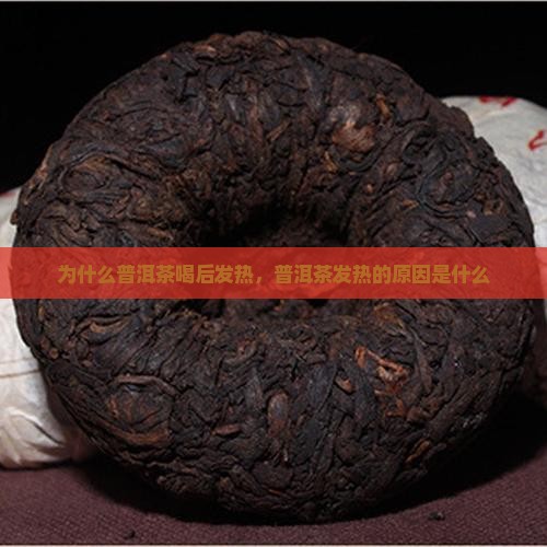 老普洱茶为什么喝身体发热