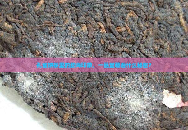勐海孔雀饼茶一品堂勐海印象