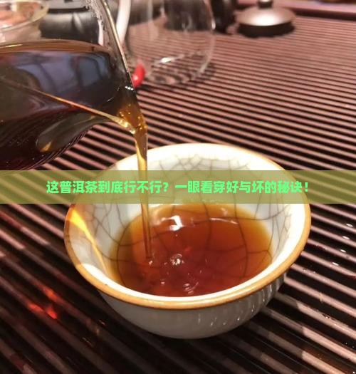 怎么判断普洱茶的品质好不好坏