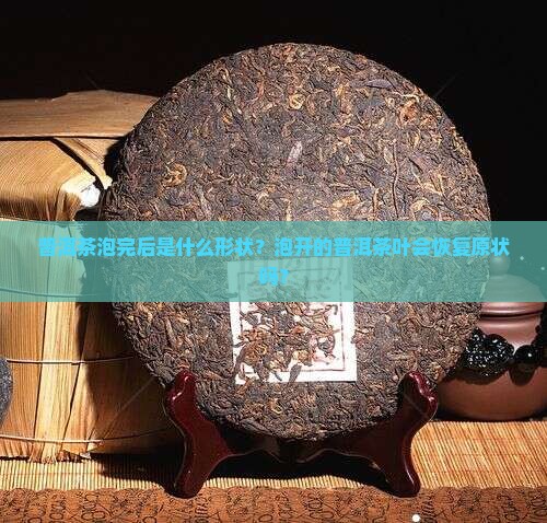 普洱茶泡完后是什么形状