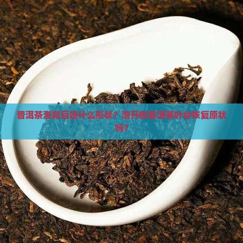 普洱茶泡完后是什么形状