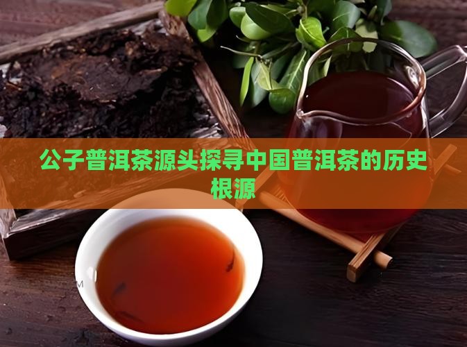 诚公子普洱茶源头