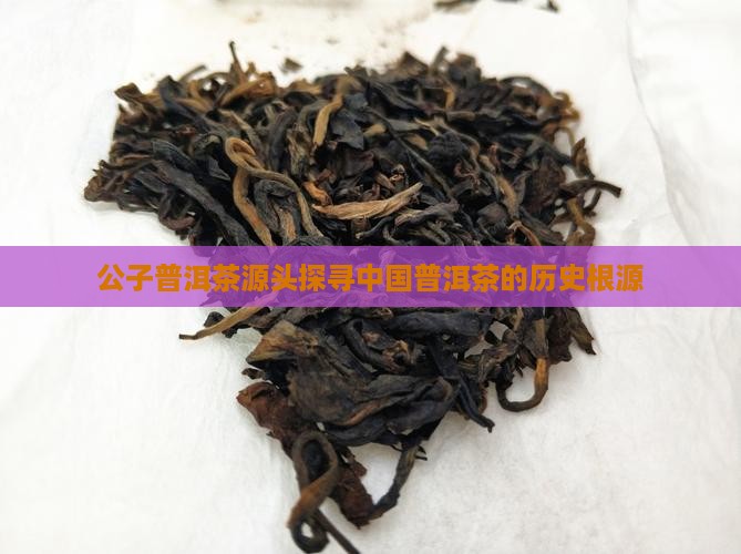 诚公子普洱茶源头
