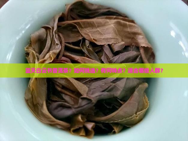 蓝天白云书普洱茶
