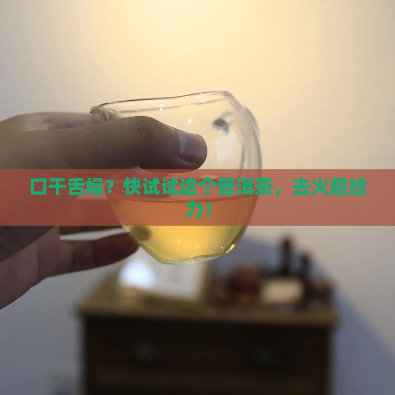哪个普洱茶去火
