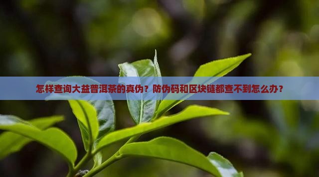 怎样查询大益普洱茶的真伪