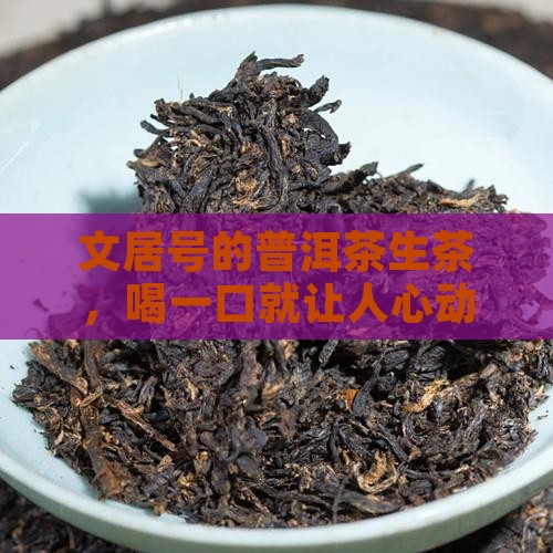 文居号普洱茶生茶