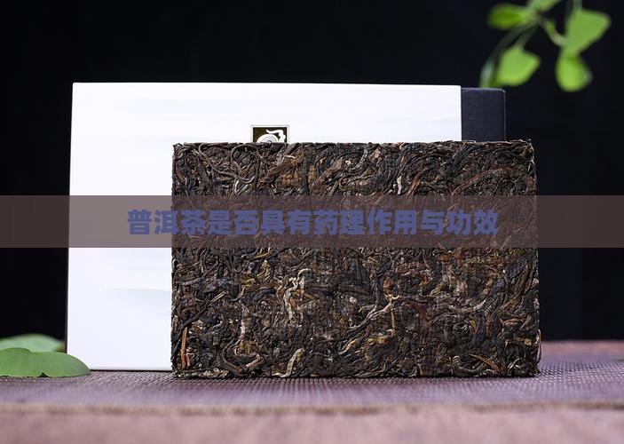 普洱茶是否具有药理作用