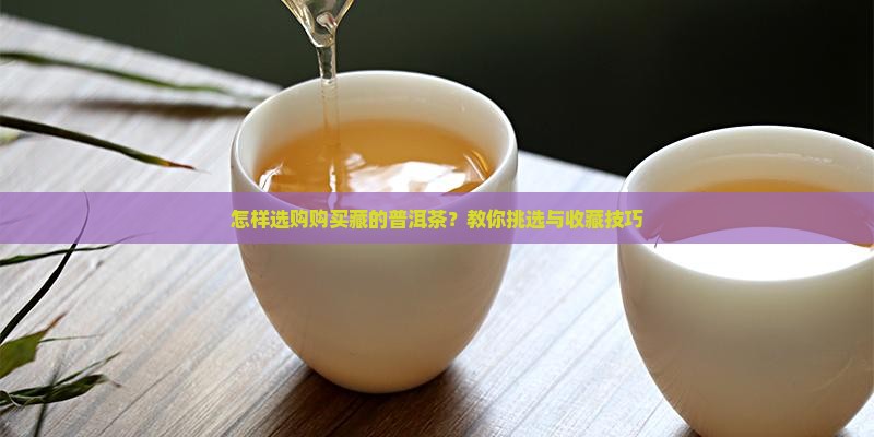 怎样选购购买藏的普洱茶