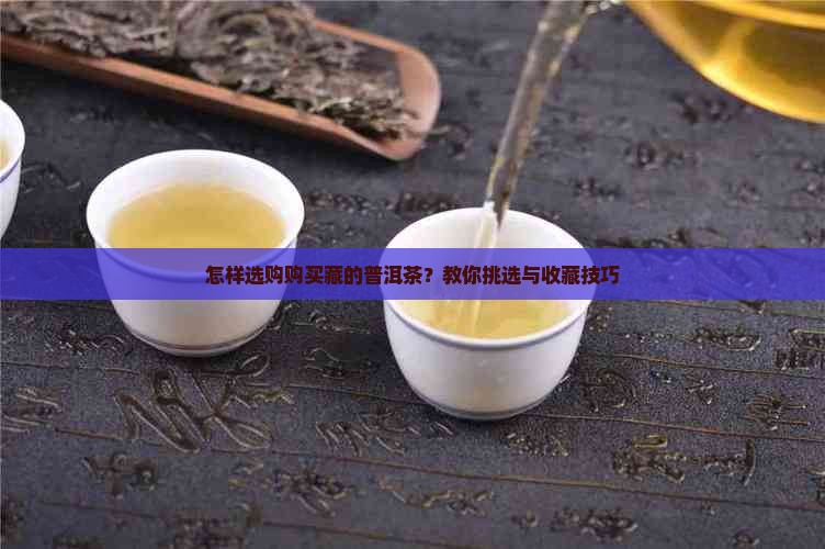 怎样选购购买藏的普洱茶