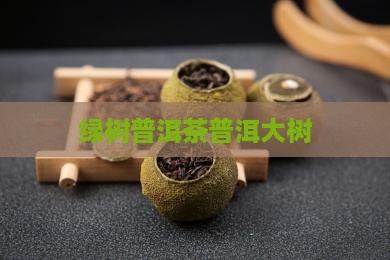 云南大绿树普洱茶