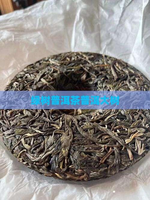 云南大绿树普洱茶