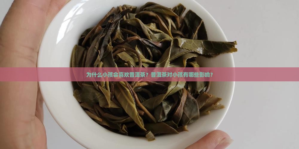 喜欢普洱茶的小孩