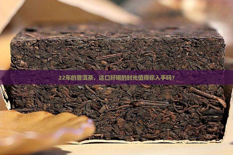 22年的普洱茶好吗值得买吗