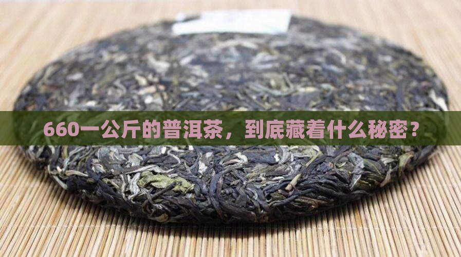 660一公斤的普洱茶有哪些