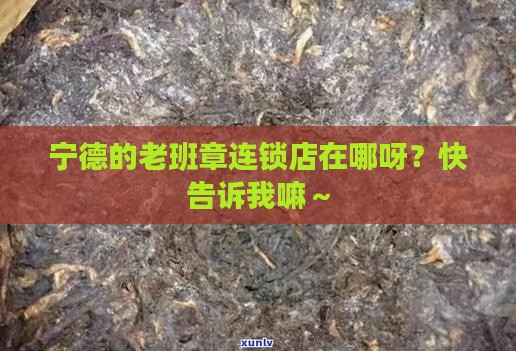 宁德老班章连锁店地址