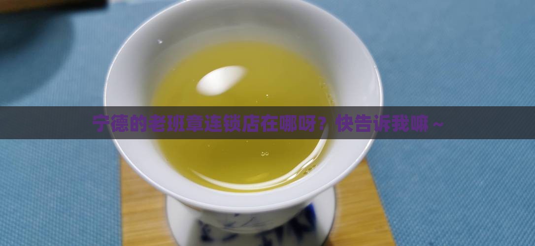 宁德老班章连锁店地址