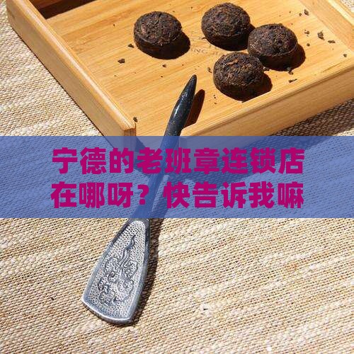宁德老班章连锁店地址