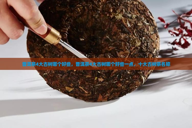 普洱茶4大古树哪个好些