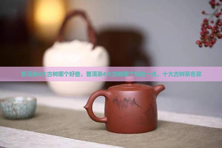 普洱茶4大古树哪个好些