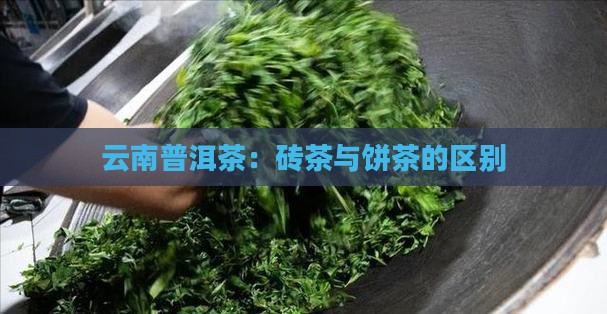 云南普洱茶砖茶饼茶