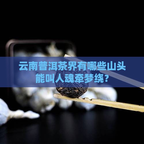 云南普洱茶有名的山头是哪里