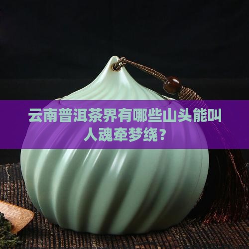 云南普洱茶有名的山头是哪里