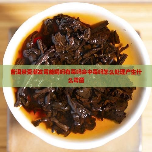 普洱茶受潮发霉能喝吗