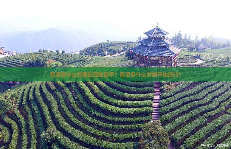 普洱茶什么时期出现的