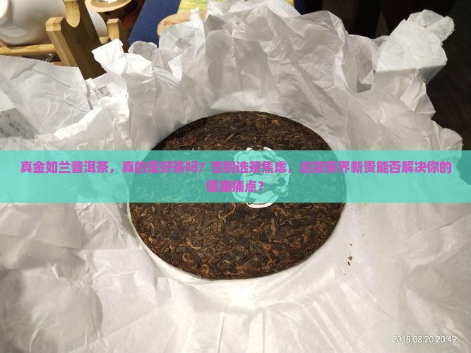 真金如兰普洱茶
