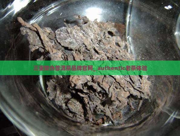 三重防伪普洱茶 三重防伪普洱茶